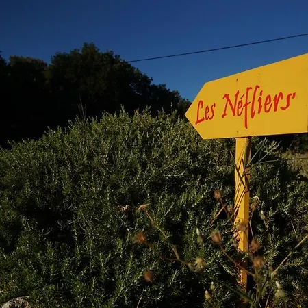 Les Néfliers-3